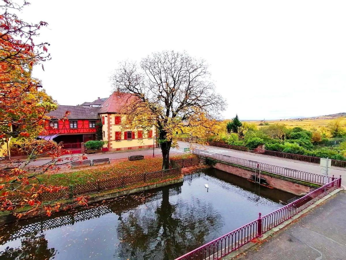 Sylvie Fahrer Et Fils Bed & Breakfast Saint-Hippolyte  Ngoại thất bức ảnh